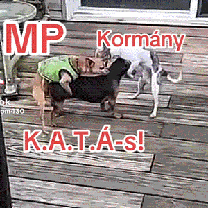 08_23_13h-ezgif.com-gif-maker.gif